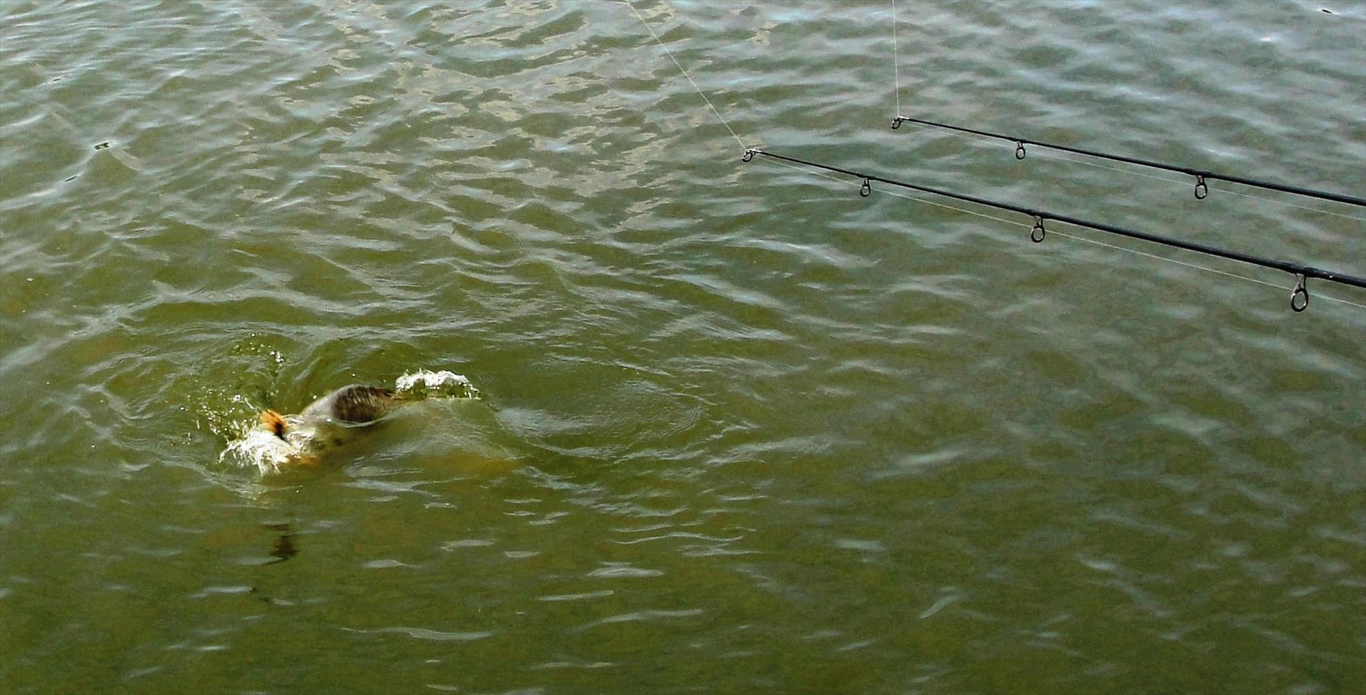 Moara Vlasiei 2 - 9 iunie partea a doua - dsc001492.jpg